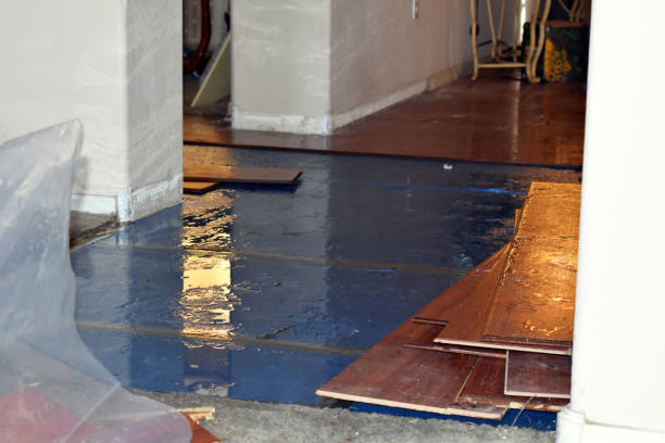 Professional Basement Flooding technician working in Blue Jay, CA